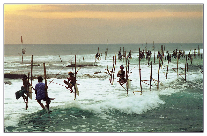 -  (stilt fisherman, Sri-Lanka)